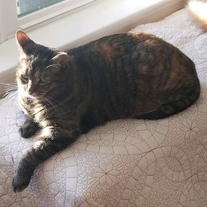 Meet your Posher, Sherri